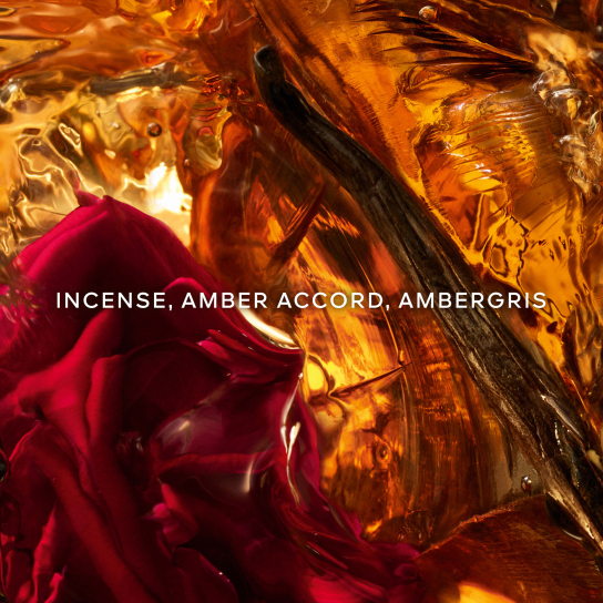 ABSOLUS ALLEGORIA AMBRE SAMAR EAU DE PARFUM 2