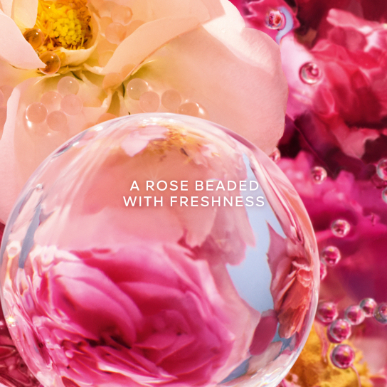 AQUA ALLEGORIA PERLE ROSA ROSSA EAU DE PARFUM-LIMITED EDITION 3