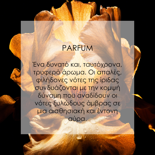 DIOR HOMME PARFUM FRAGRANCE - AMBERY, WOODY AND FLORAL NOTES 3