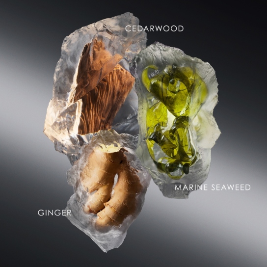 LE SEL D'ISSEY EAU DE TOILETTE 1