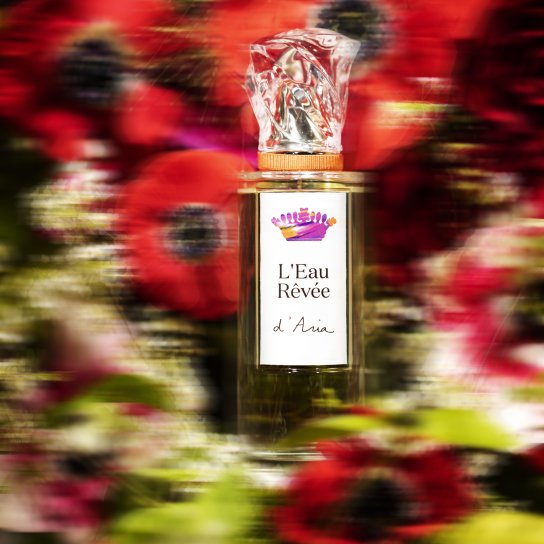 L'EAU RÊVÉE D'ARIA 2