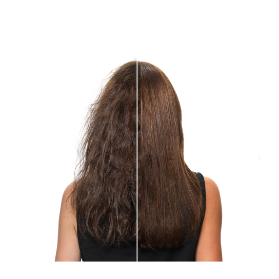 ASHITA SUPREME CONDITIONER ΓΙΑ ΕΝΤΑΤΙΚΗ ΑΝΑΖΩΟΓΟΝΗΣΗ 2