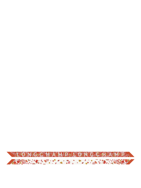 ΓΥΝΑΙΚΕΙΟ ΜΕΤΑΞΩΤΟ ΦΟΥΛΑΡΙ FRISE FLEURIE HEADBAND 0