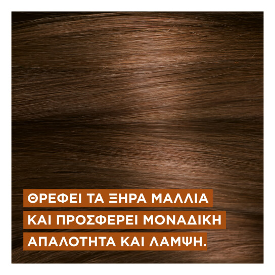 ELVIVE EXTRAORDINARY OIL JOJOBA SHAMPOO 1