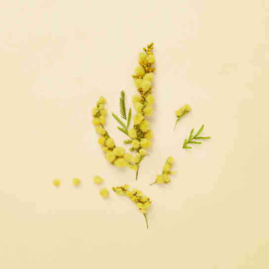 THE ALCHEMIST'S GARDEN WINTER'S SPRING EAU DE PARFUM 4