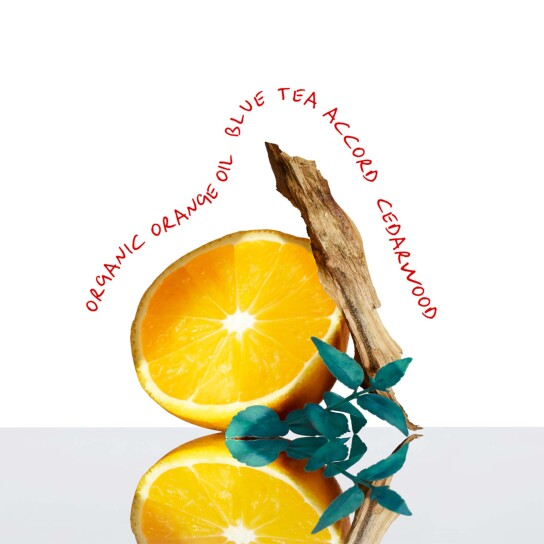 CK EVERYONE EAU DE TOILETTE 1