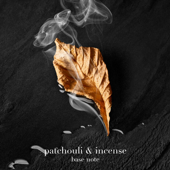 ARMANI ACQUA DI GIO PARFUM ΑΝΔΡΙΚΟ ΑΡΩΜΑ 7