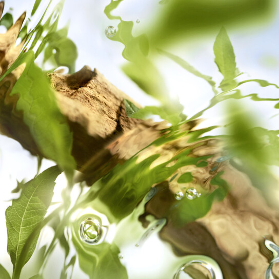 ÔFF NOW EAU DE TOILETTE 4