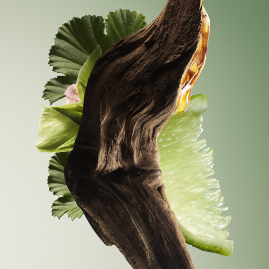 PARADIGME EAU DE PARFUM 2