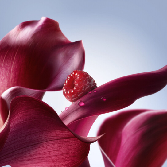 LA VIE EST BELLE L'ELIXIR HAIR & BODY MIST 2