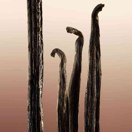 BURBERRY GODDESS EAU DE PARFUM 4