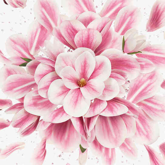 FLORA GORGEOUS MAGNOLIA EAU DE PARFUM REFILLABLE 5