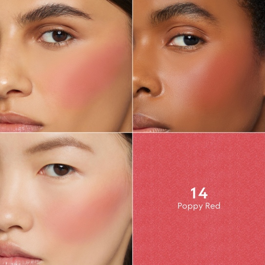 BLUSH DE BEAUTÉ LIMITED EDITION 3