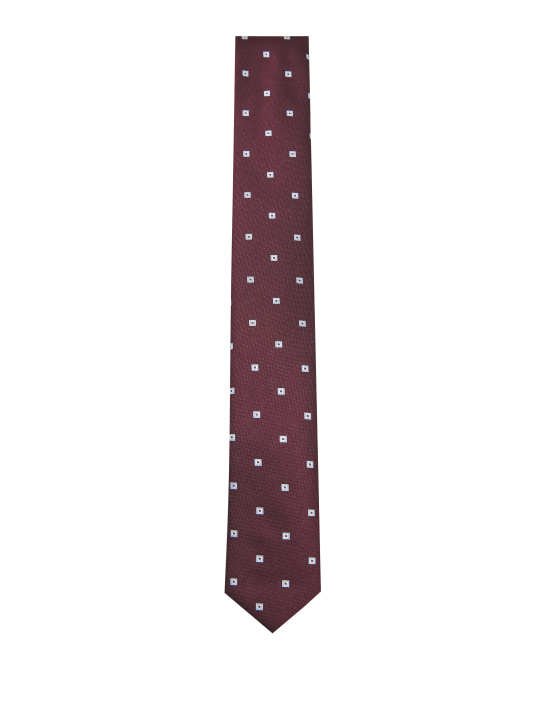 ΑΝΔΡΙΚΗ ΓΡΑΒΑΤΑ 0