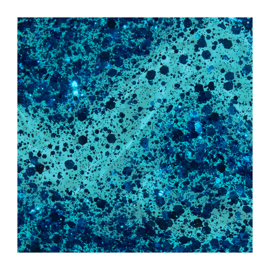 OPI MAKE ‘EM JELLY INFINITE SHINE DUST THE COMPETITION 3