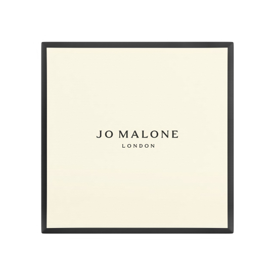 CAR DIFFUSER HOUSE​ 1