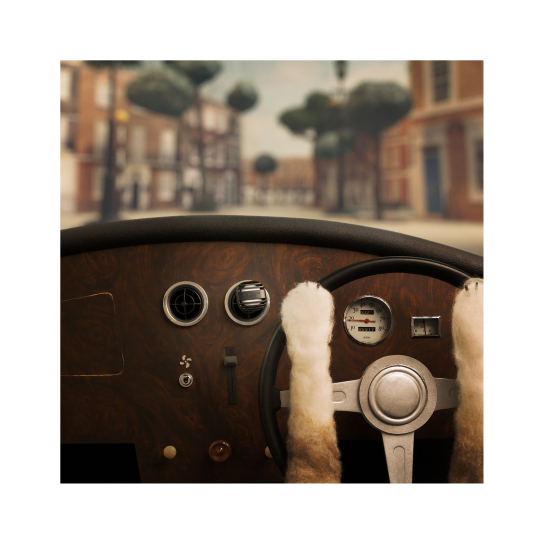 CAR DIFFUSER HOUSE​ 2