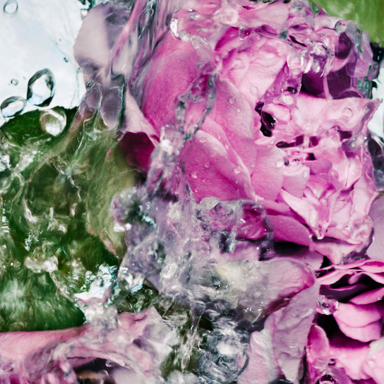 ROSE HAND LOTION 1