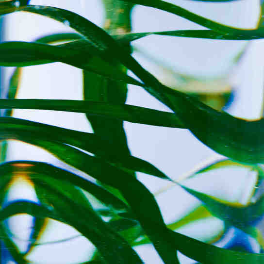 HAND WASH VETYVER REFILL  1