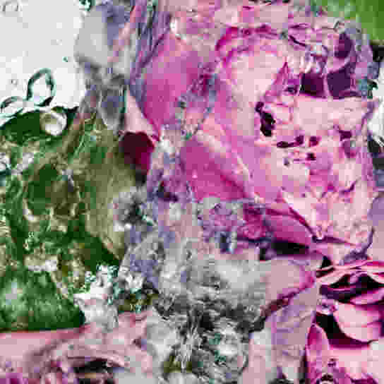 HAND LOTION LOST ROSE REFILL 1