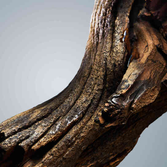 BOSS BOTTLED DEODORANT SPRAY 2