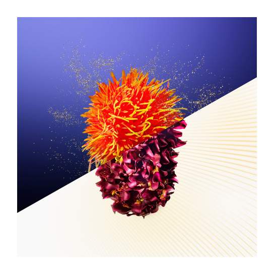 VITAL PERFECTION CONCENTRATED SUPREME CREAM 3