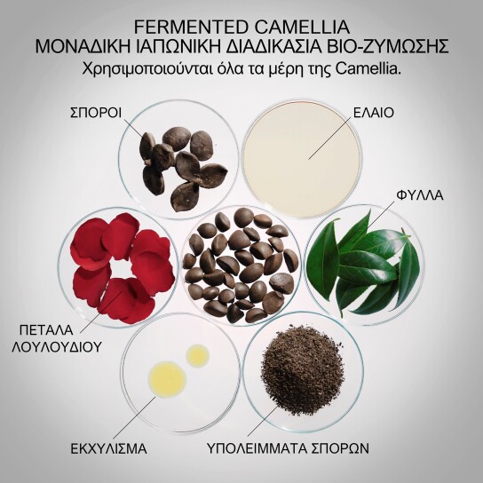 ULTIMUNE POWER INFUSING SERUM REFILL 3