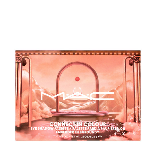 CONNECT IN COLOUR EYE SHADOW PALETTE: EMBEDDED IN BURGUNDY 4