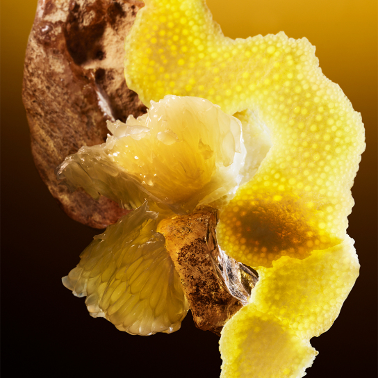 BVLGARI LE GEMME TYGAR EAU DE PARFUM 8