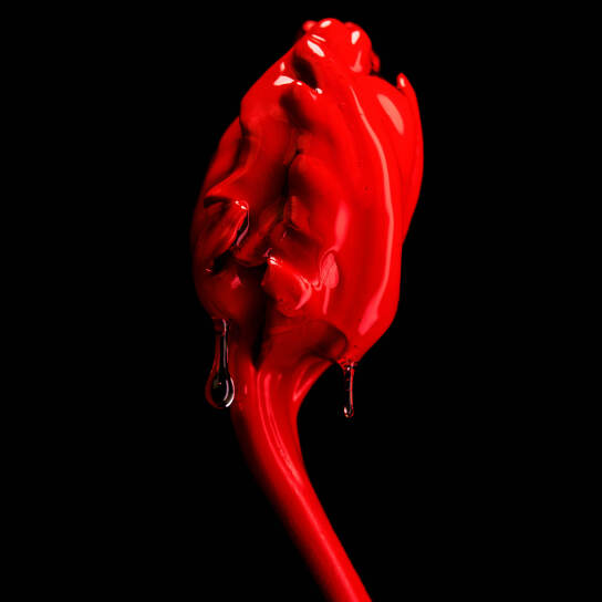 ROSE OF NO MAN'S LAND ABSOLU DE PARFUM 5