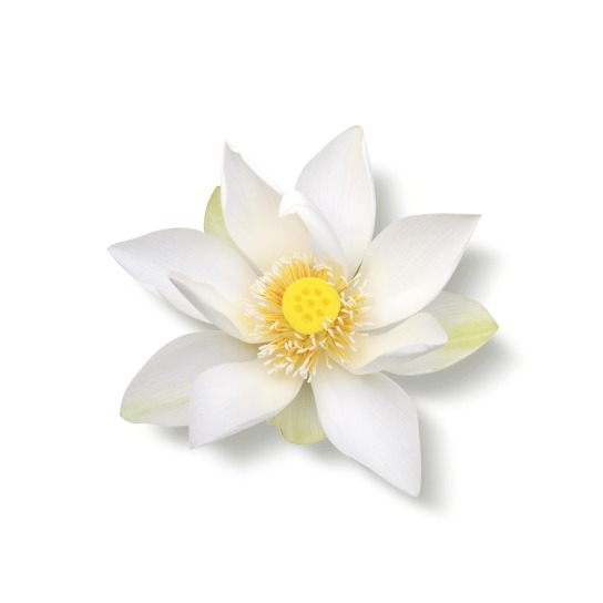 THE RITUAL OF KARMA SCENT BOOSTER & SOFTENER IN 1 1