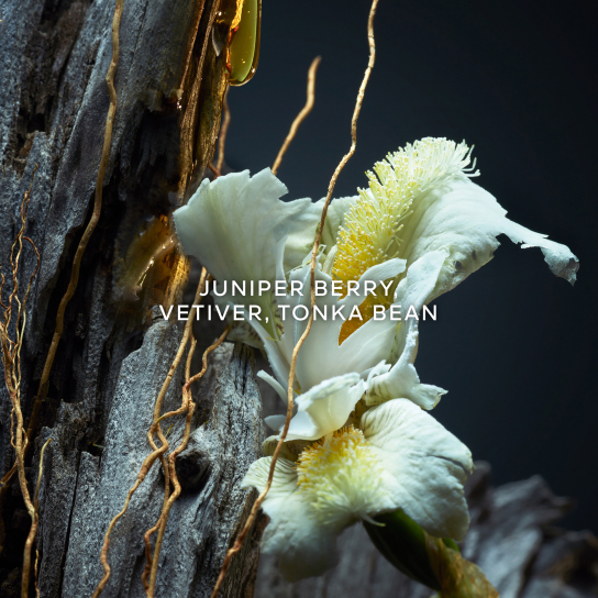 VÉTIVER LE PARFUM EAU DE PARFUM 3