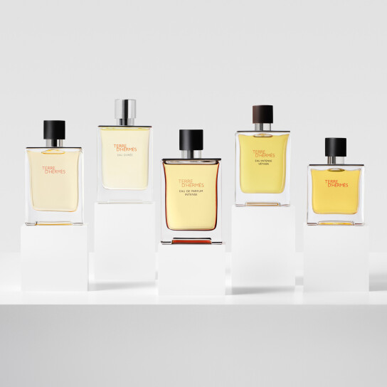 TERRE D'HERMÈS EAU DE PARFUM INTENSE 5