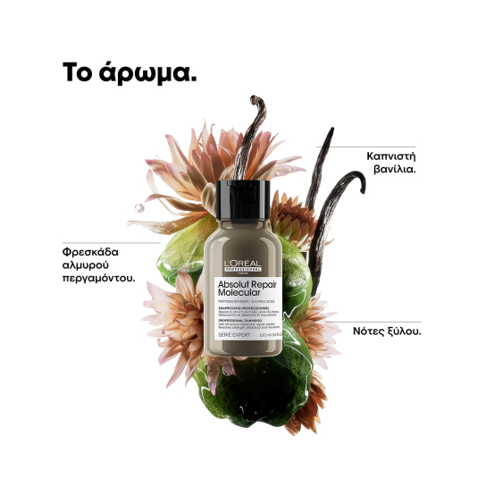 SERIE EXPERT ABSOLUT REPAIR MOLECULAR ΣΑΜΠΟΥΑΝ ΜΟΡΙΑΚΗΣ ΕΠΑΝΟΡΘΩΣΗΣ ΓΙΑ ΤΑΛΑΙΠΩΡΗΜΕΝΑ ΜΑΛΛΙΑ 3