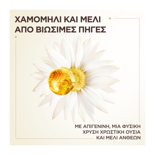 BOTANIC THERAPY CONDITIONER ΛΑΜΨΗΣ ΜΕ ΧΑΜΟΜΗΛΙ & ΜΕΛΙ ΑΝΘΕΩΝ 2