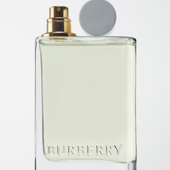 BURBERRY HER EAU DE TOILETTE WOMEN 2