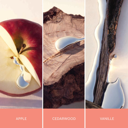 ALIVE EAU DE PARFUM 3
