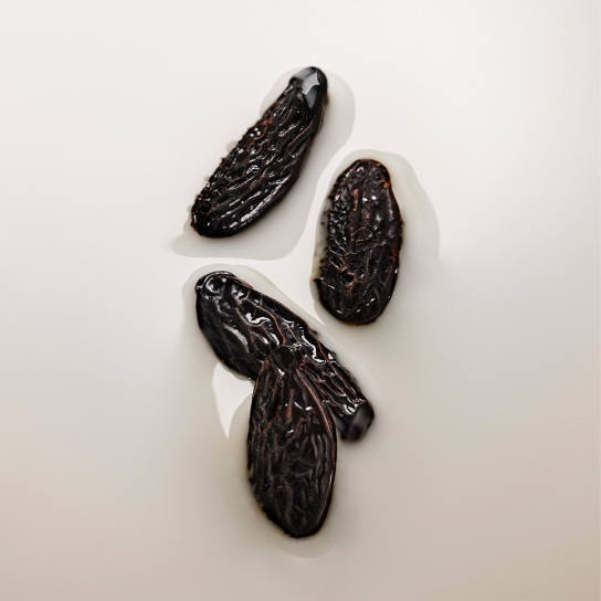 ANGELS’ SHARE BODY LOTION 1