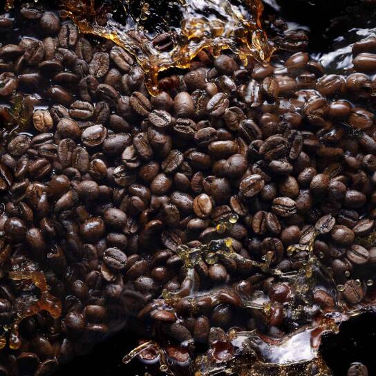 BLACK PHANTOM "MEMENTO MORI" 4