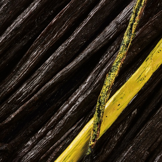 AMBRE CHROMATIQUE EXTRAIT DE PARFUM 3