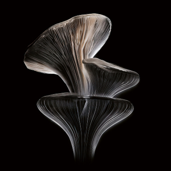 HF05 723D CHITOSAN MULTI-USE STYLING SPRAY MINI 4