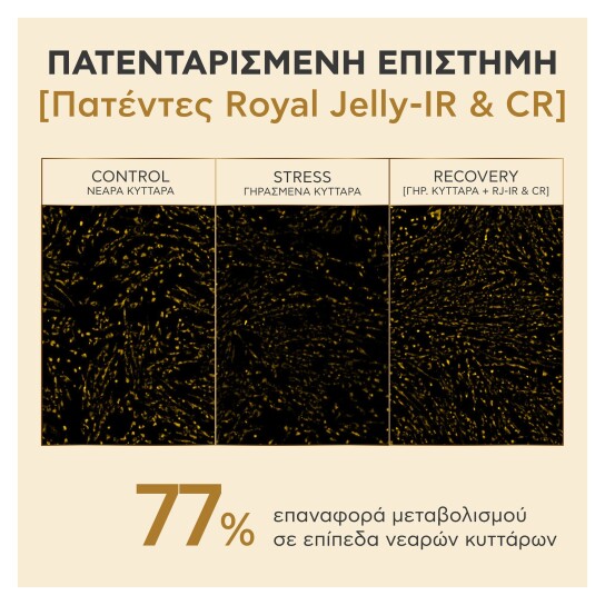 QUEEN BEE LONGEVITY 12 YEARS MARKERS SERUM 7