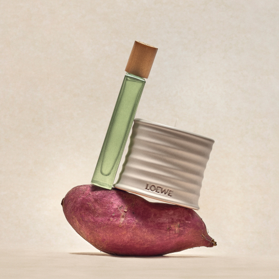 OREGANO LARGE SCENTED CANDLE 6