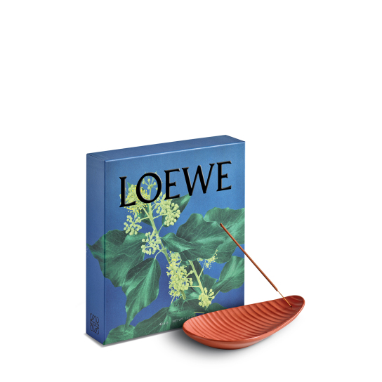 LOEWE IVY INCIENSO PACK 1