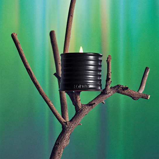 PALO SANTO SMALL SCENTED CANDLE 3