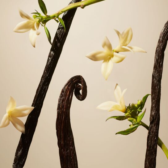 SUEDE VANILLA HOME PERFUME REFILL 1