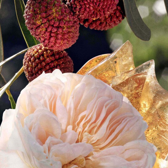 CHLOÉ EAU DE PARFUM  6