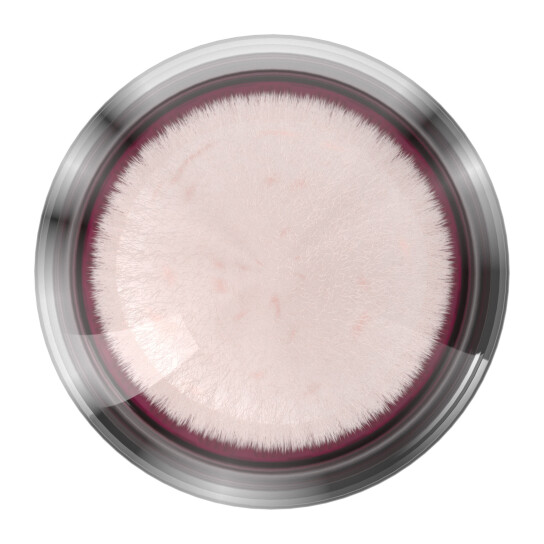 INSTANT ERASER AGE REWIND CONCEALER 8