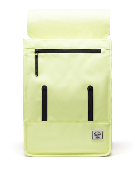 ΣΑΚΙΔΙΟ ΠΛΑΤΗΣ SURVEY 3