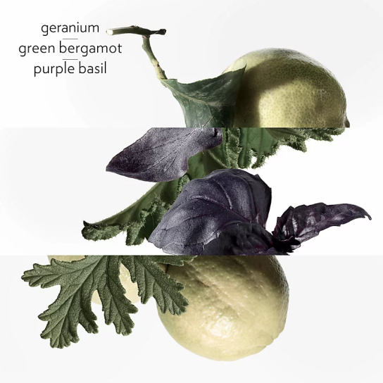 EAU DE BASILIC POURPRE EAU DE COLOGNE 2